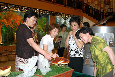 腾博会以诚信为本 腾博会以诚信为本